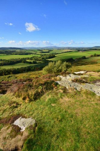 Visit in early June to see the best of the area's #Rhododendron display @NTcragside See our special offers: westcliffehouse.com/wp_install/off…