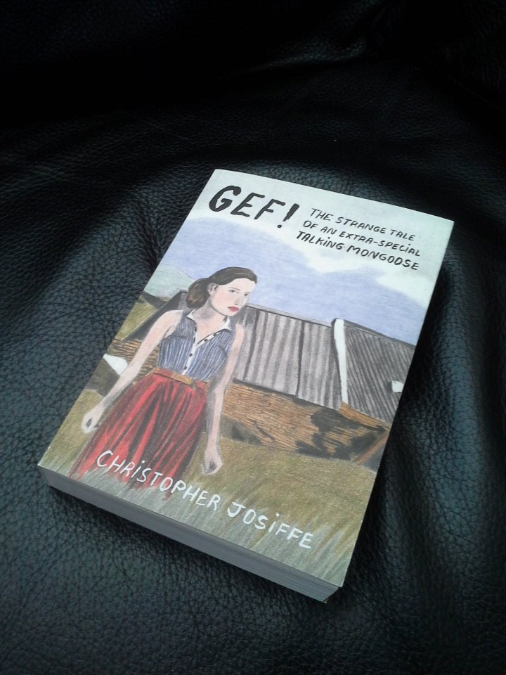 damiensname's tweet image. Gef arrived at my house today. @ChrisJosiffe new book with its beautiful cover has everything one needs to know about the #talkingmongoose
