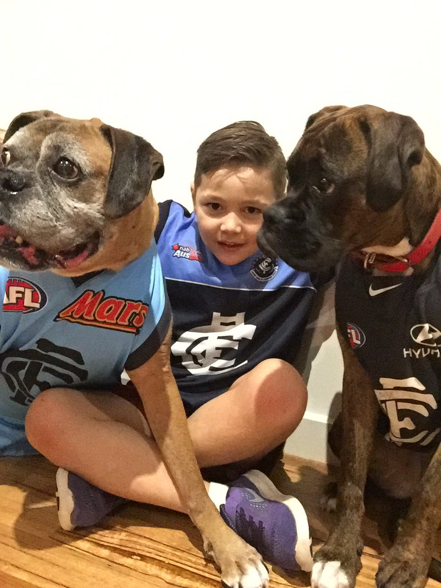 brigga74's tweet photo. #AFL360 https://t.co/JSfDDh1F7k