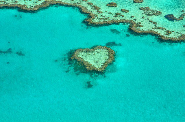 CuriosoCreativo's tweet photo. Gran Barrera de #Coral, #Australia
https://t.co/5D35gqYrLa #greatbarrierreef #coralreef #arrecife #arrecifedecoral #reef #heart #corazon https://t.co/bC7M9CcFfY
