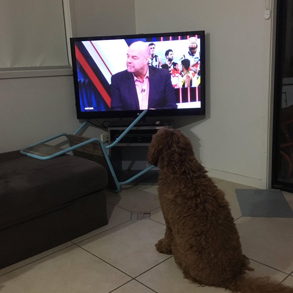 JWilson7_'s tweet photo. Clarke loves listening to Robbo talk rubbish #AFL360 #gosuns https://t.co/4FhN1X8uHS