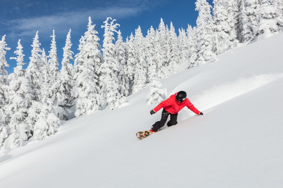 SavagePandaSnow's tweet photo. Boutique, bespoke and full of fire. We're game to build your dream board. Ready? Read more -> https://t.co/fCvtjfoXno #OffTheRackIsDead https://t.co/SKzUkJWYhi