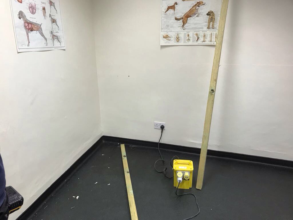 pvccladdinguk's tweet image. Hallam Vets Centre. PVC Wall Cladding at half height. Well done guys. hygienicsheets.com @Rotherhamiss @Sheffieldis @BarnsleyIs