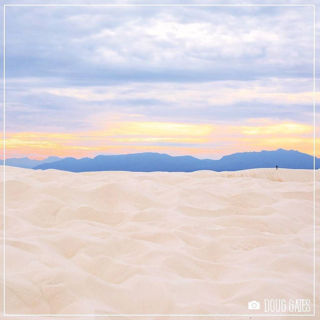 Discovery Melbourne tweet media