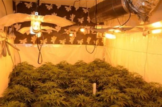 You can read the full story on our website ow.ly/1Ksw30bAQ8j