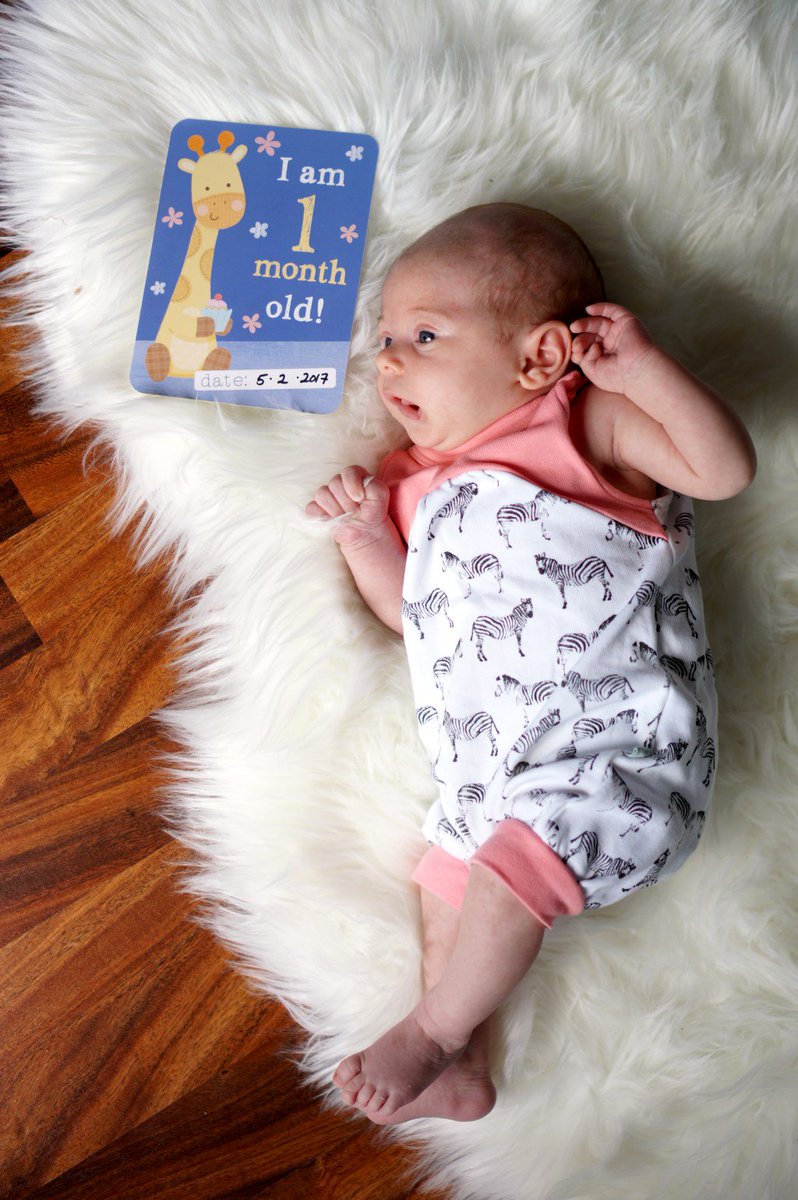 MSheridanPhoto's tweet photo. Stella: One Month https://t.co/qbgT9o2dn2 https://t.co/1H0up5njDi