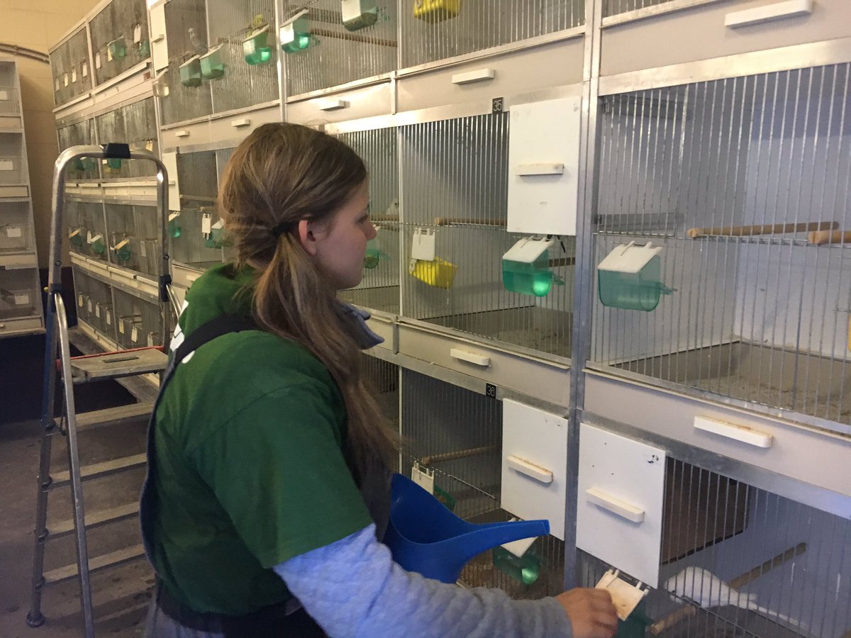 koendaniels's tweet photo. Onderwijs gebeurt in de klas en in de school. Het belang van dierenverzorging en 1b in de praktijk. #realiteitstoets @POV_onderwijs https://t.co/5mp0xaIAsn
