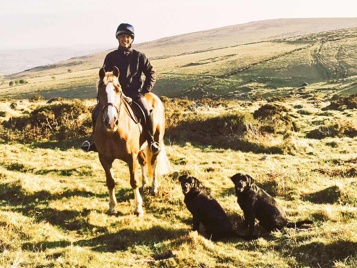 CricketyDevon's tweet photo. Why I live on Dartmoor https://t.co/zBFSpUwTBB