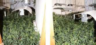 The <a href="/SWROCU/">South West Regional Organised Crime Unit</a> investigation unveiled a Vietnamese-led crime group which was responsible for the large scale cultivation &amp; sale of cannabis