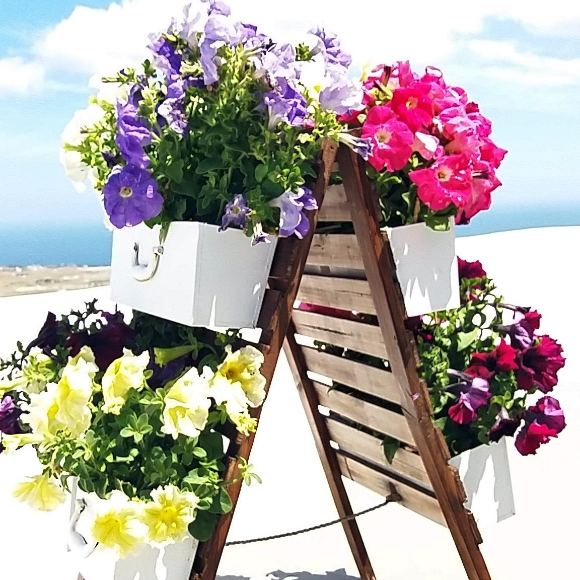 Santorini_Plus's tweet image. Welcome to SantoriniPlus.com