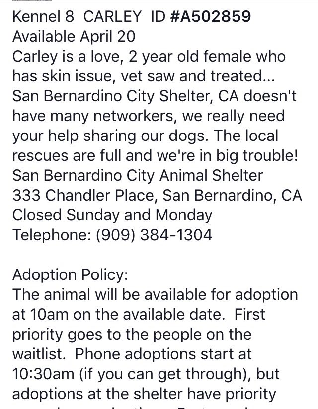 reddogsusie's tweet photo. #CA #SanBernardino #SOS
🆘🆘URGENT Carley 2yo Female an absolute sweetheart! Needs a home fast! #adopt #rescue #pledge
https://t.co/OUQxeUSGgp https://t.co/AgzWM5XpuG