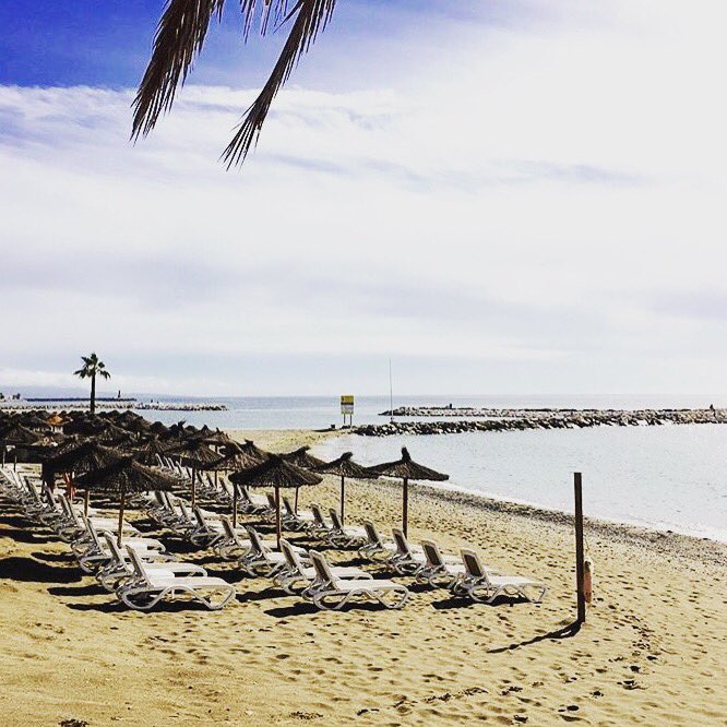 Hello from #marbs 💙☀️🌴