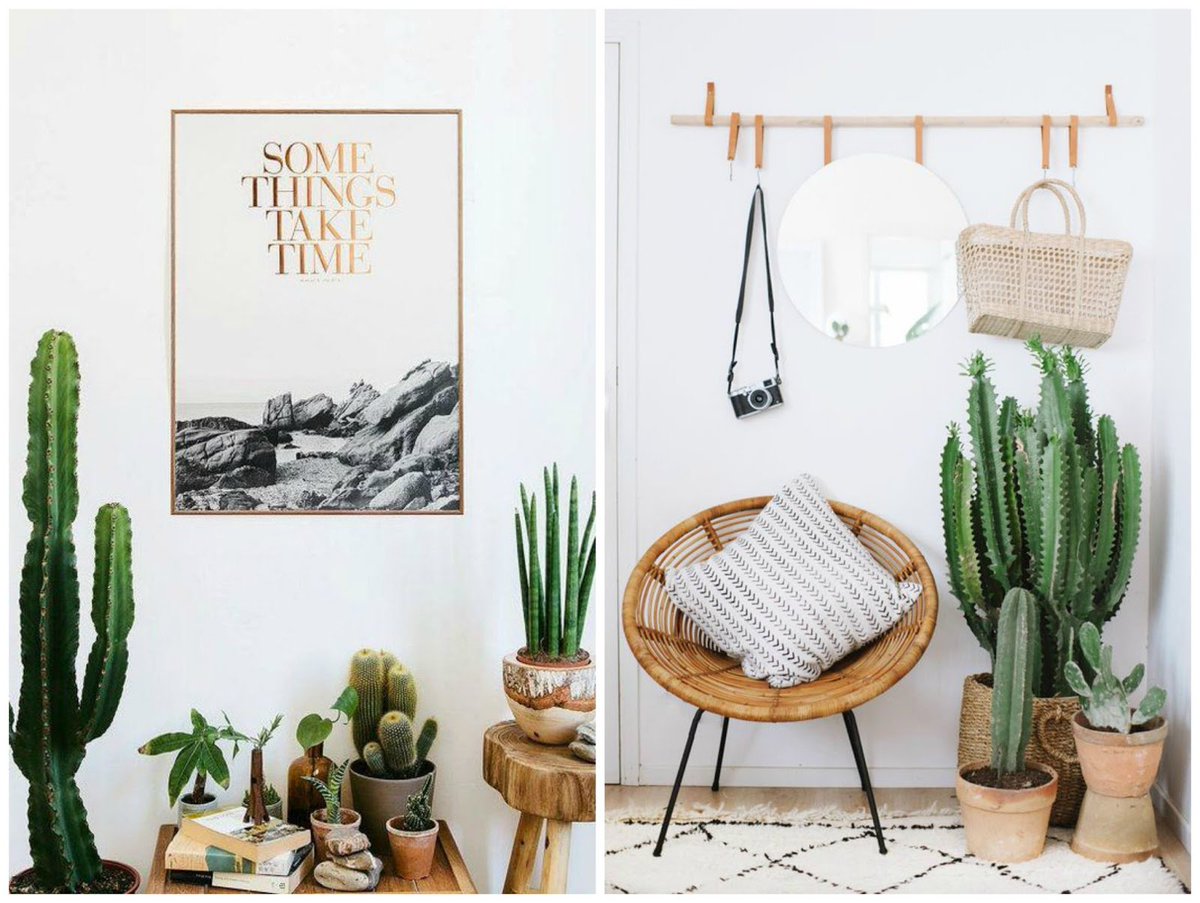 BlogandCoffee1's tweet photo. Deco♡Maxi Cactus en https://t.co/qQP65guhyr #Cactus #DecoBlogger #Deco #Blogandcoffee #Inspo https://t.co/RQ30PsMqBc
