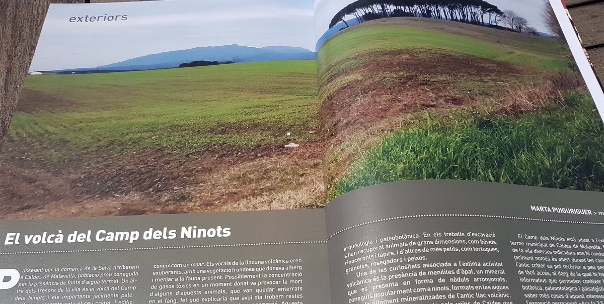 Caldes de Malavella (@ajcmalavella) on Twitter photo Article d'exteriors de <a href="/mpuiguriguer/">marta puiguriguer</a> d'<a href="/AxialN/">Axial-Natura</a> sobre el #campdelsninots de #CaldesDeMalavella a la <a href="/RevistaGirona/">Revista de Girona</a>. #CaldesdeMalavella Article d'exteriors de <a href="/mpuiguriguer/">marta puiguriguer</a> d'<a href="/AxialN/">Axial-Natura</a> sobre el #campdelsninots de #CaldesDeMalavella a la <a href="/RevistaGirona/">Revista de Girona</a>. #CaldesdeMalavella