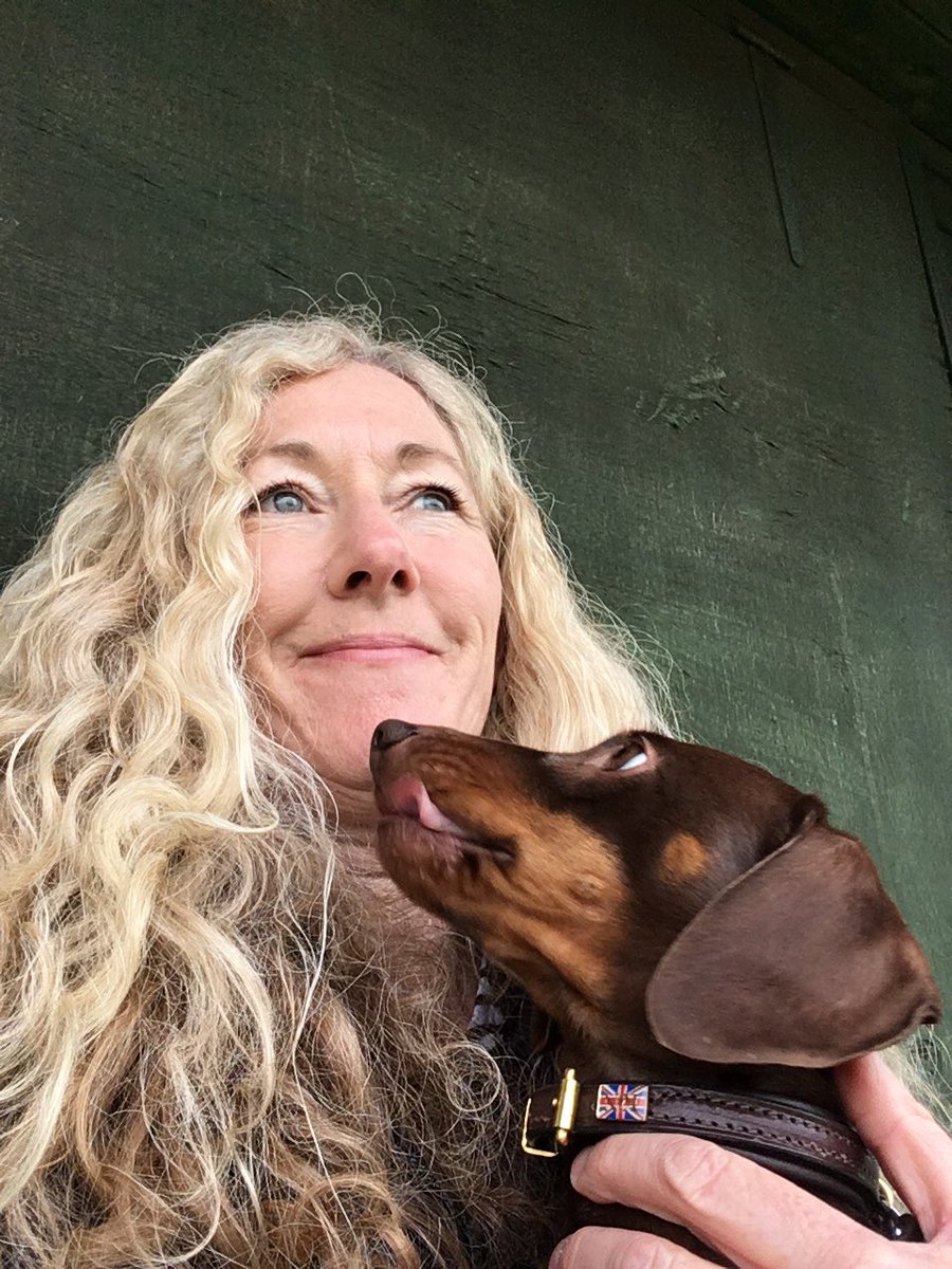 TallyHoSTP's tweet image. This trendsetter is wearing @KateNegus. British leather sourced @bhorsetrials. Thanks for dressing her Julia. #buybritish #support🇬🇧