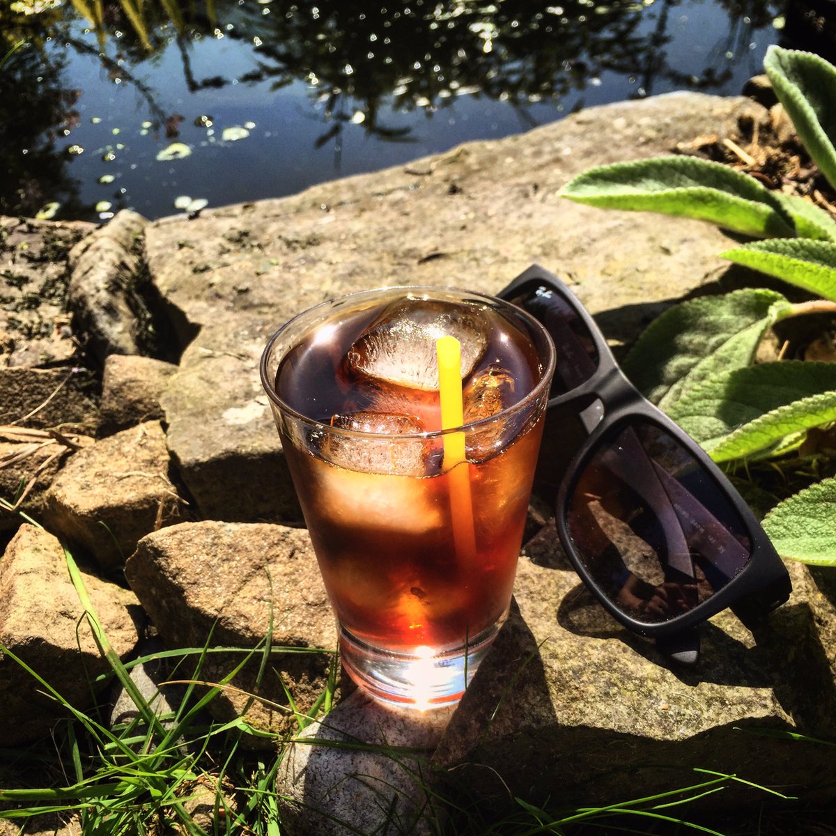 Baristapher's tweet photo. Days like this need to have cold brew involved. #coffee #coldbrew https://t.co/sPoFGZ12Na