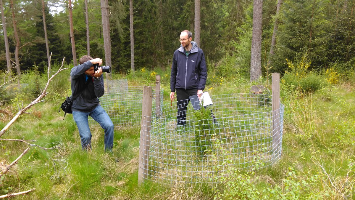 PerthshireCCP's tweet photo. With @ocReLEAF and @TheBotanics checking on #conservation collections in #Perthshire  @PKCTrust @RBGE_ICCP @fcscotland https://t.co/5H0GM8RvvJ