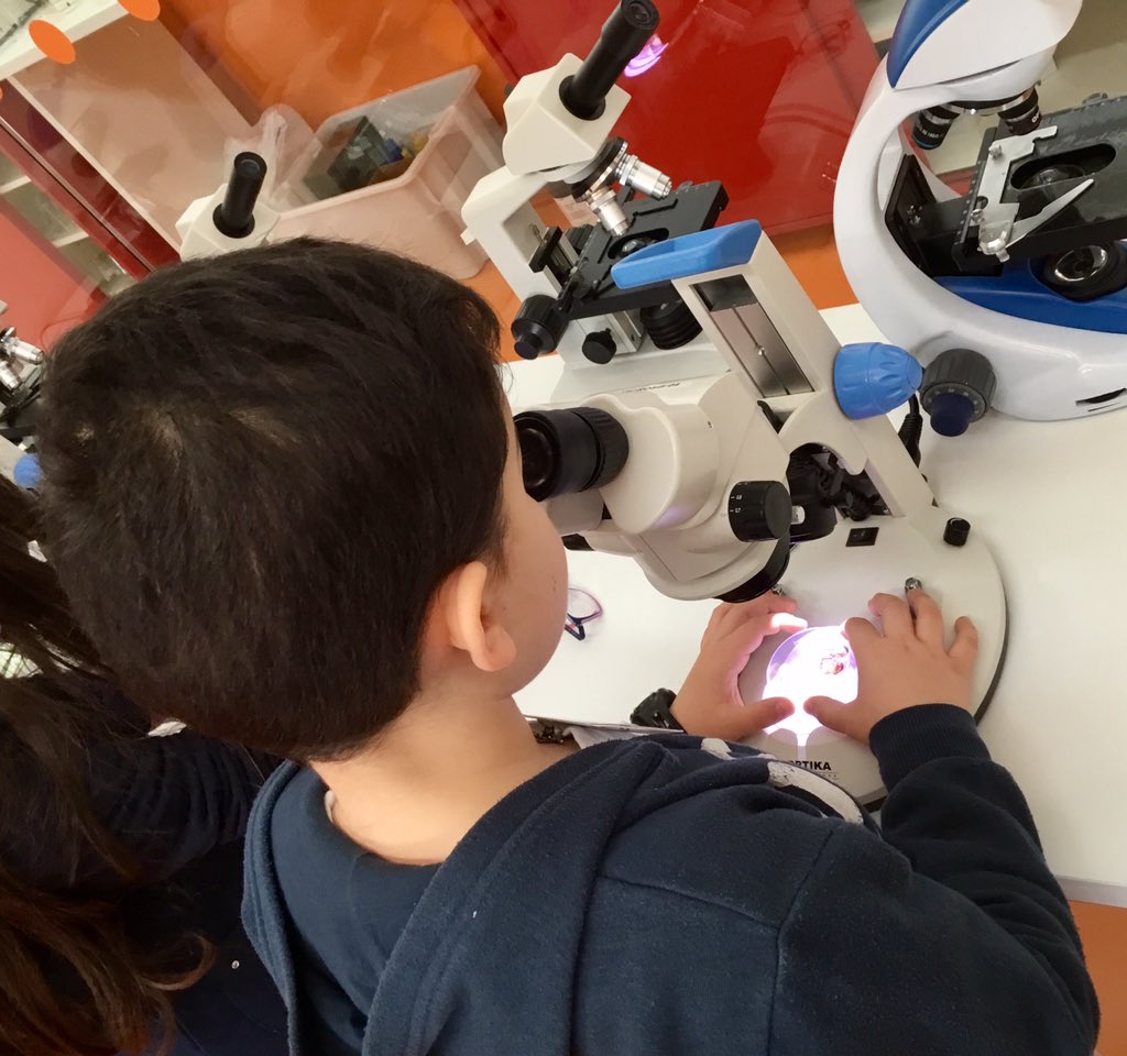 AlfBitCreat's tweet photo. Piante in provetta @FG_Fondazione #scienze #biologia #semi  #idroponico #provette #gita https://t.co/EtSswtU6yq