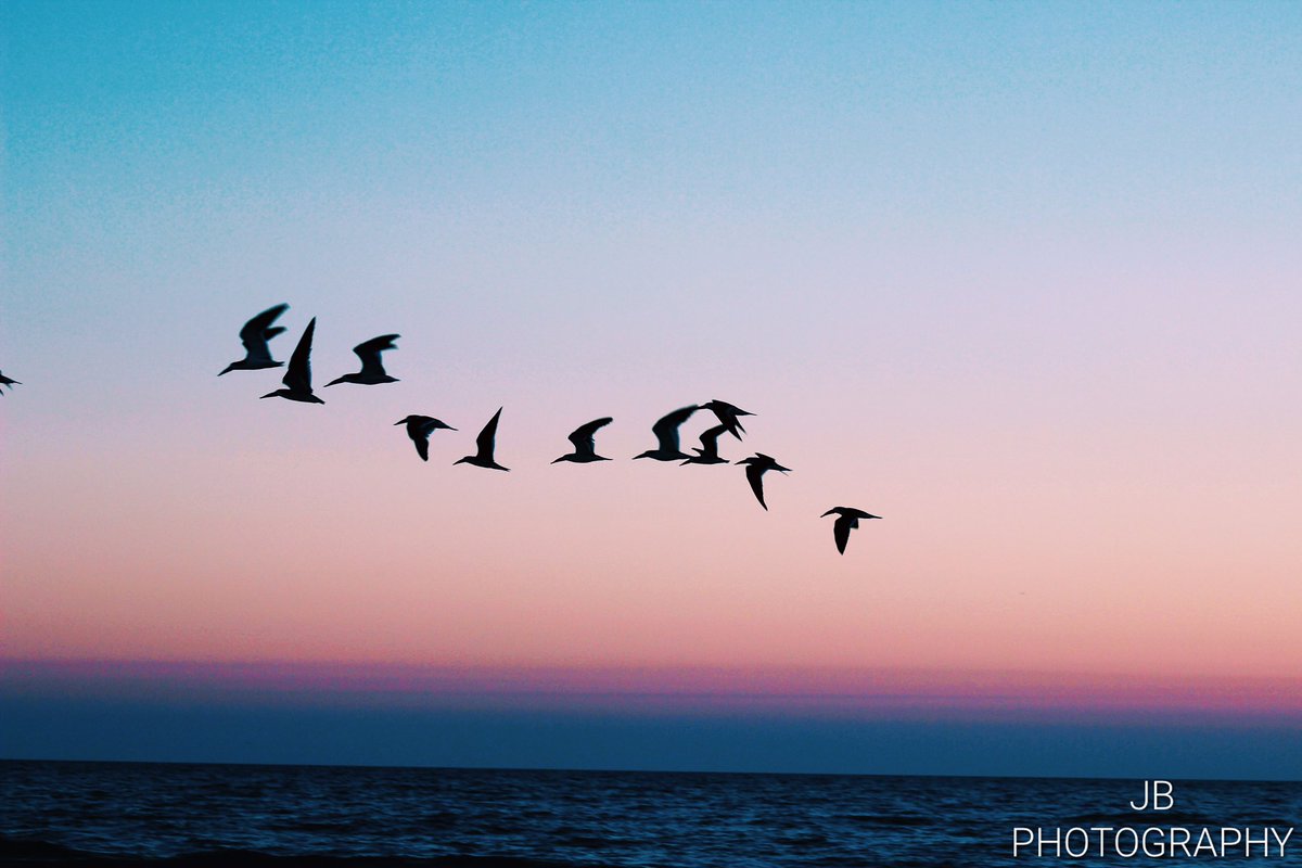 JBPhotography__'s tweet photo. https://t.co/Bc0fYcdwu3