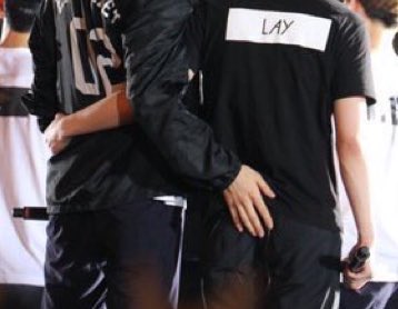 wonulovey's tweet photo. The difference between Chanyeol and Yixing https://t.co/gZ1BHqtJ5N