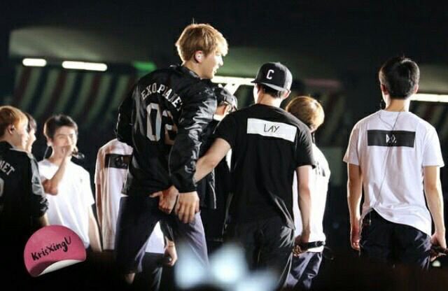 wonulovey's tweet photo. The difference between Chanyeol and Yixing https://t.co/gZ1BHqtJ5N