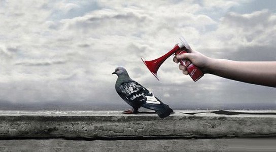 Люди не то чтобы не понимают тебя, они просто не слышат. Будь настойчив, и говори громче
