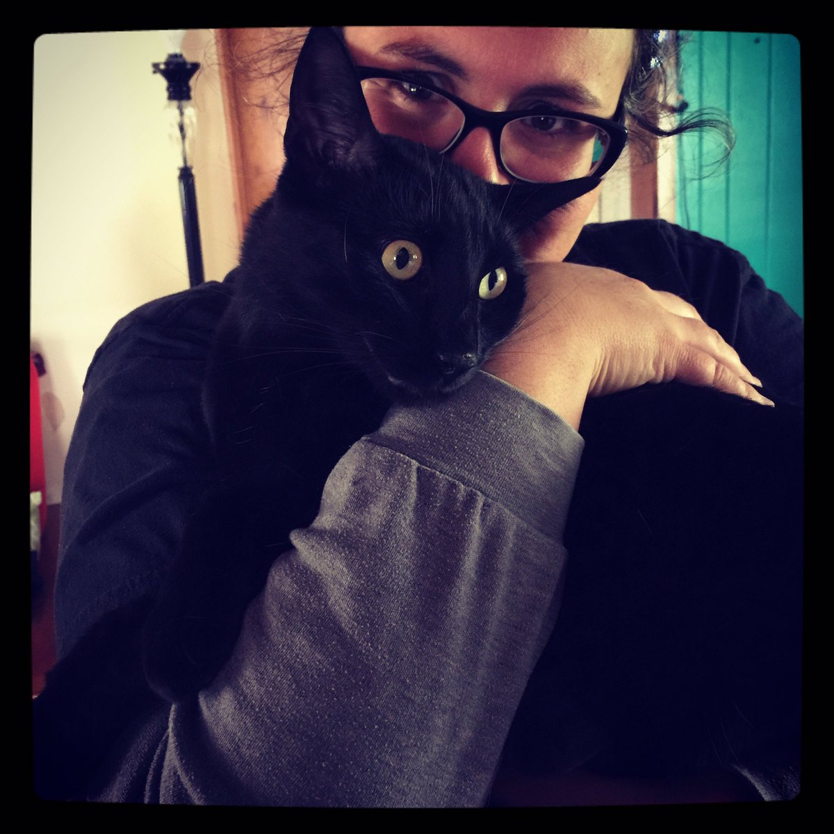 catladyceramics's tweet photo. "I am just a love machine." Shalom #mastercuddler #mamasboy @BlackCats_RULE @fullyfeline @JacksonGalaxy @catsofinstagram @TheEllenShow https://t.co/ikhmPFp5lw
