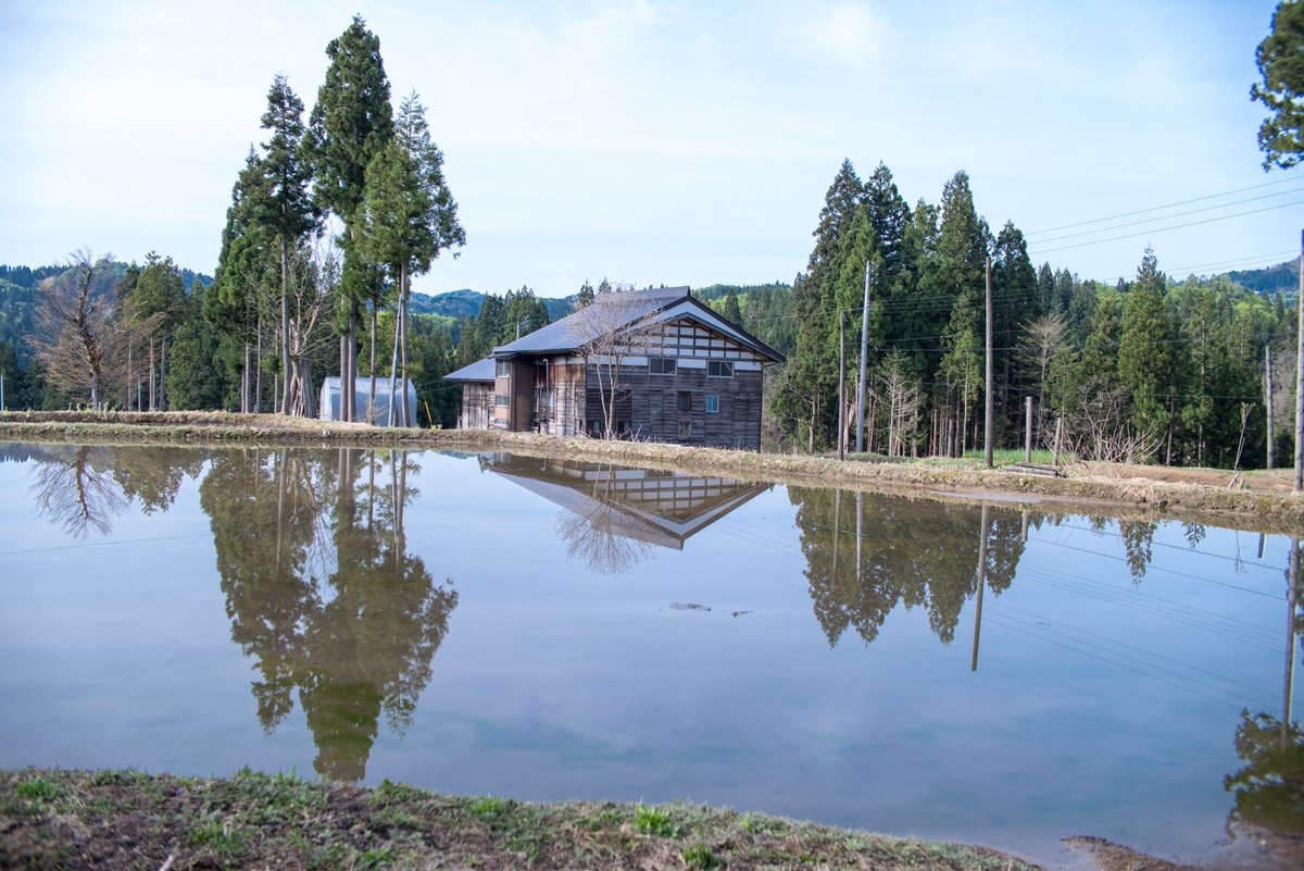 44_ryuji's tweet photo. 新潟の棚田は凄かった❗
　
　#新潟　#棚田　
　#写真好きな人と繋がりたい
　#写真撮ってる人と繋がりたい
　#ファインダー越しの私の世界 https://t.co/stRRtTkt0d