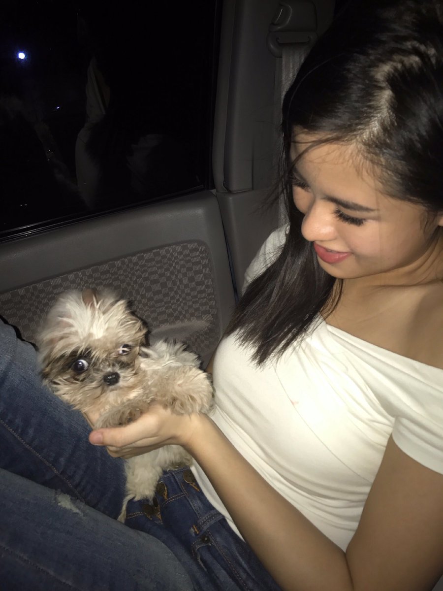 KissesDelavin's tweet photo. Good evening world, meet Hearty Hikaru! 🐶 https://t.co/vkqzjdkTYx https://t.co/8CC22ii4o9