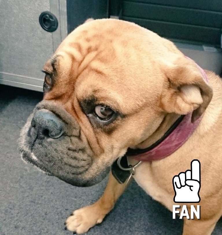 Zementierer's tweet photo. #hvb4fcb https://t.co/7A1bdvyA4z