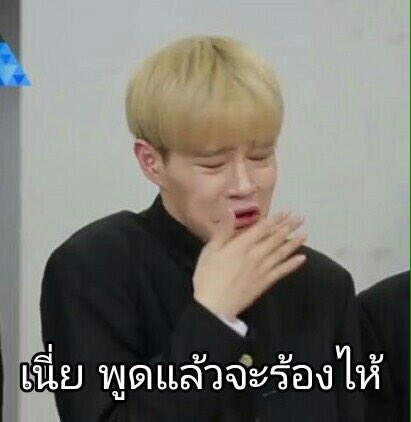 kyswnmt's tweet photo. เอาจริงๆนะ ประทับใจน้องแดฮวีสุดละค่ะ หน้าน้องให้มากในทุกๆมีม555555555555555555 #PRODUCE101 https://t.co/fHBulNRDi9