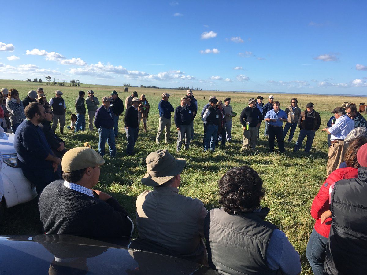 Gira CREA Ganadera de <a href="/FUCREA/">CREA Uruguay</a> esta año en Rocha en el segundo día con más de 100 productores de todo el país participando e intercambiando