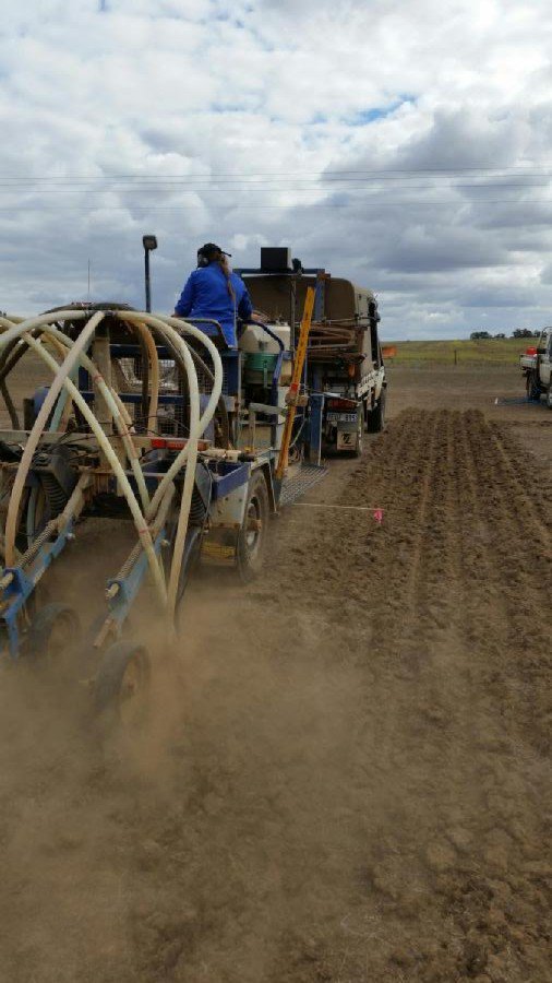 DirtSouthern's tweet photo. The Cropping Challenge is now in the ground! Now let's hope for some rain soon! Photo courtesy of @kalyx_australia https://t.co/yeTu5i1J0R