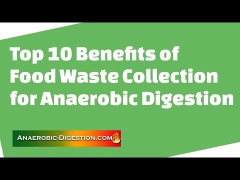 BiogasChannel's tweet photo. Did you know the 10 benefits of separate #foodwaste collection for #anaerobicdigestion?
 https://t.co/NMOLFgQkVh #biogas https://t.co/BxPWXAsJKj