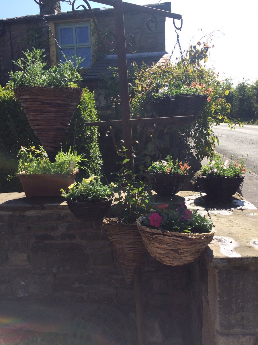 First lot of hanging baskets ready to go to new homes☀️