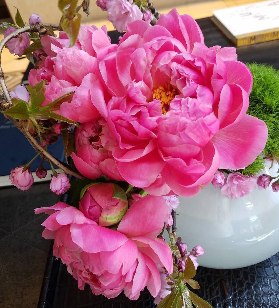 nycstylecannoli's tweet photo. Gorgeous flowers in the lobby of The Quin hotel *
*
*
*
#humpday #quinessential #nychotel #flowerpower #instalike⦠https://t.co/w03ZzRgszq https://t.co/djbMORuYjc