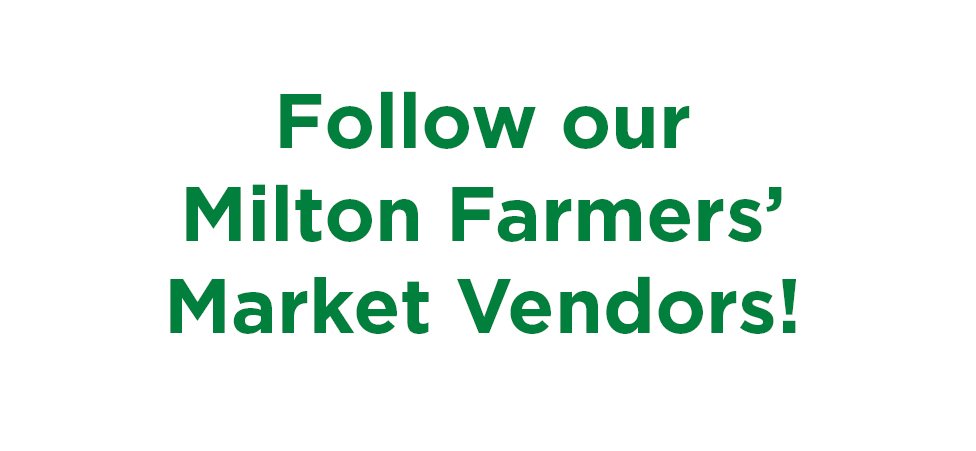 Follow some of our great #MiltonON Farmers' Market vendors this season <a href="/MazzocatoMaple/">Mazzocato Maple Farm</a> <a href="/honestfieldfarm/">Honest Field Farms</a> <a href="/CathysKombucha/">Cathy's Kombucha</a> @BTL_Winery <a href="/Hill121/">Hillary's Cupcakes</a>