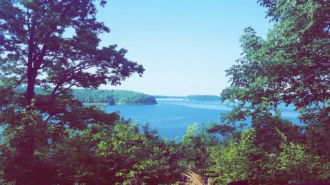 🍃Needed some nature today 🍃 https://t.co/GoH2Guujhi<a href="/tag/mvsales"class="tags"><span>#mvsales</span></a>