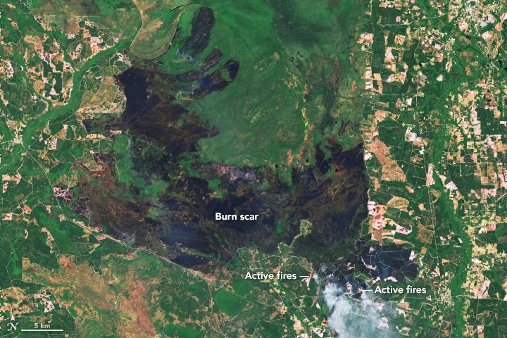 Fire Scars the Okefenokee : Natural Hazards #WestMimsFire  earthobservatory.nasa.gov/NaturalHazards… #NASA