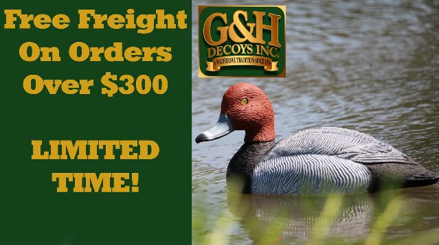 MitchellGertner's tweet image. Hurry time limited.