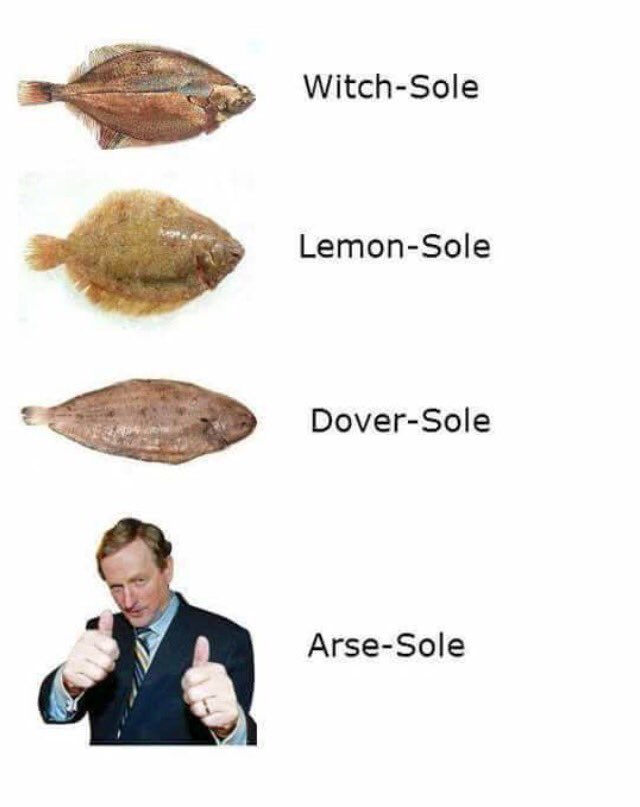 DoonbegFSeafood's tweet image. Love it🤣🤣🤣