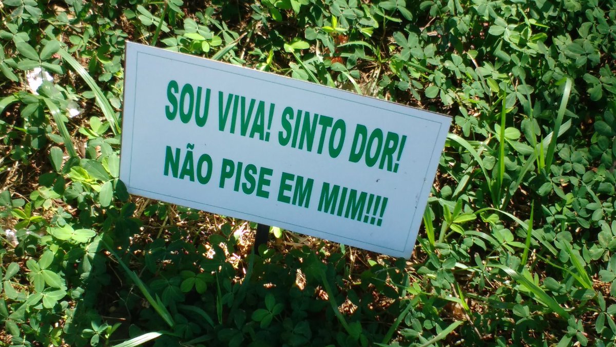 guicomenta's tweet photo. minha plaquinha https://t.co/egbheHwYXF