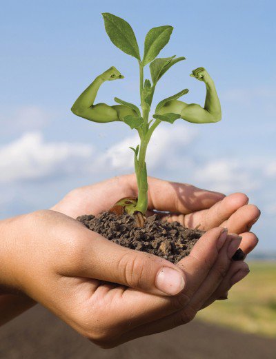 OrganoCat's tweet photo. How do we feed nearly 10 billion people by 2050? #agtech #innovation #science https://t.co/lpV5tLCfRh