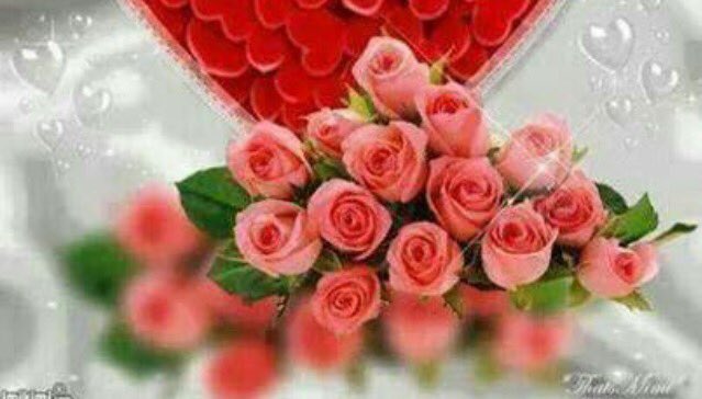 trf2288's tweet photo. الكلمة الطيبة لاتكلفك الكثير لكنها تكسبك الاحترام والتقدير🌸 https://t.co/Huj2Ht9DfY