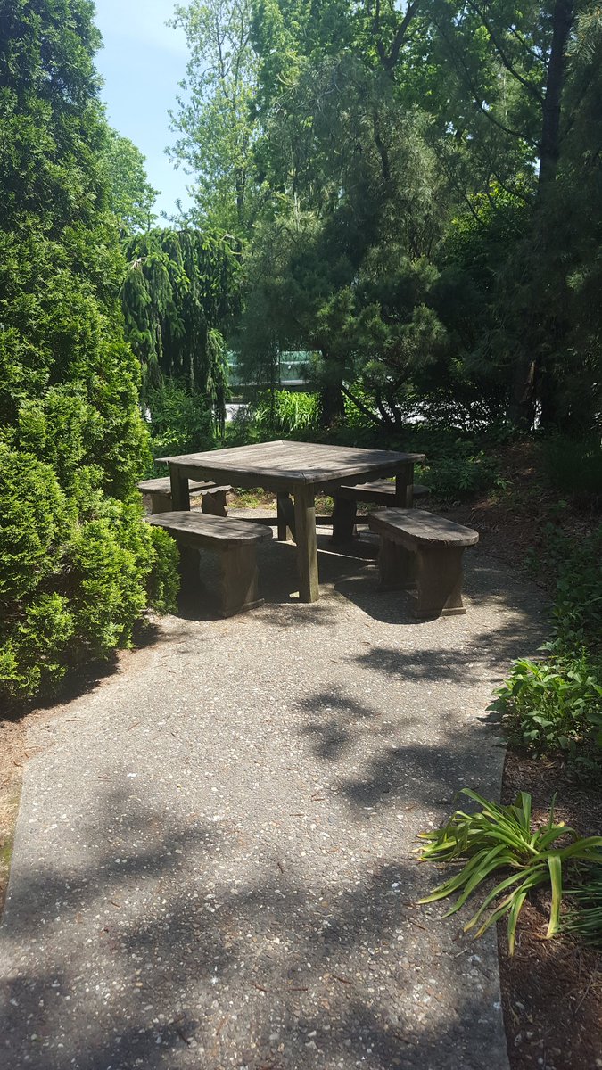 SimonsenCara's tweet photo. May not seem like much but this is where my Grandpa asked my Grandma to marry him. #allstartedhere https://t.co/uj7KORRecK