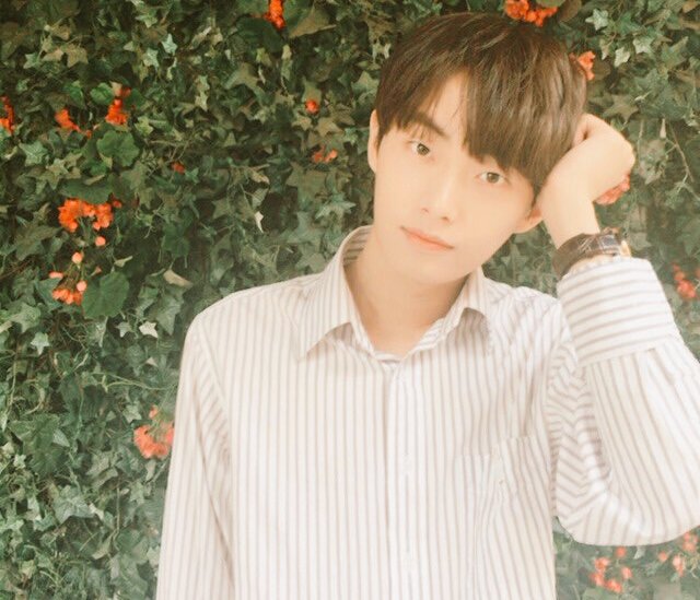 cherryerim's tweet photo. ー with love in her eyes and flowers in her hair ; a new beginning blossoms ⋆ . ✫
[ #pd101selcaday ] https://t.co/s8kUiZD1DG