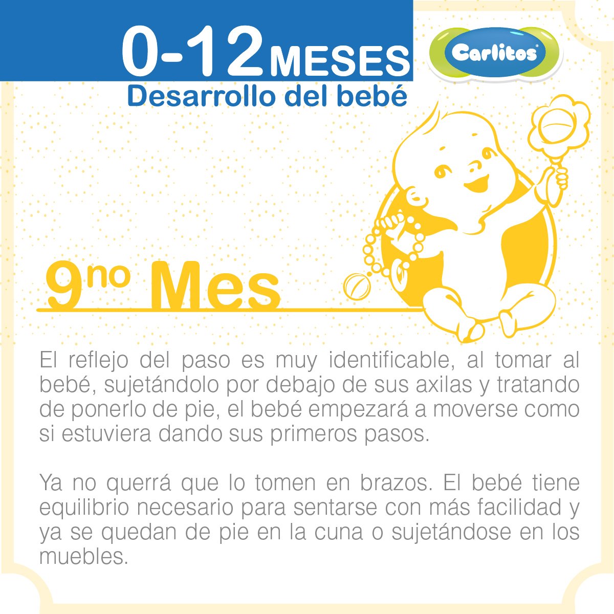 En esta etapa, algunos nenes hasta empezarán a caminar sueltos de un extremo a otro en su corral. Ahora sí, imposible despegarles la mirada!