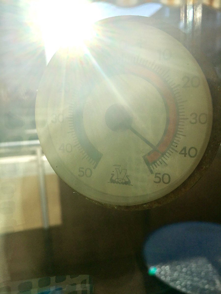 ZaraLauder's tweet photo. Four days ago, it showed 44°C on the sunny side of our apartment. Today, 0°C and the white stuff is back! Ah, the limbo of spring time. https://t.co/tYrVZAl9Yo