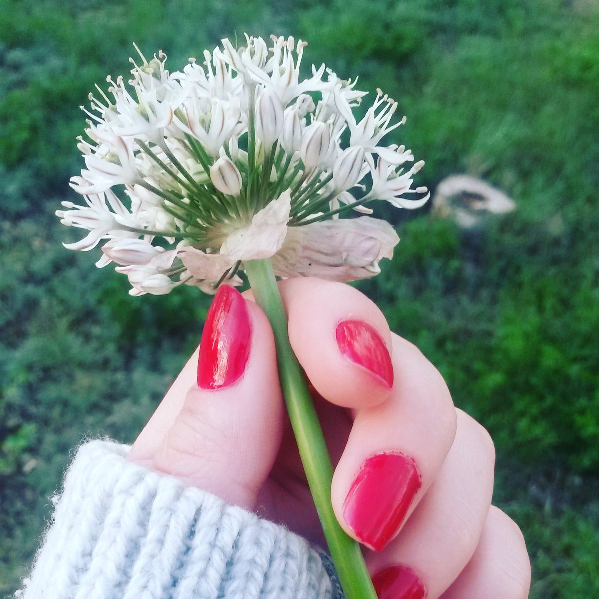 AmirxC's tweet image. В моей жизни сейчас нет места весне. Но пусть она будет хотя бы у вас в ленте
#nature  #файнисфолловиткаждого