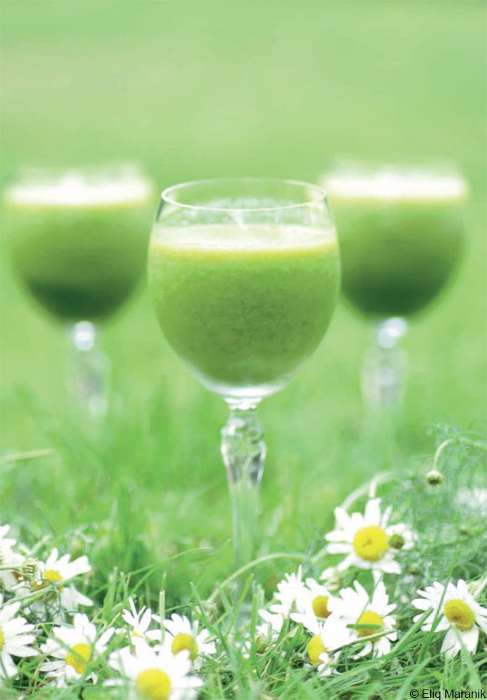 Lust auf was Frisches? Hier haben wir ein Rezept für einen leckeren Spinat-Apfel-Smoothie für Euch: ullmannmedien.com/blog/rezept-ti…